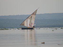 Early morning at Lake Victoria